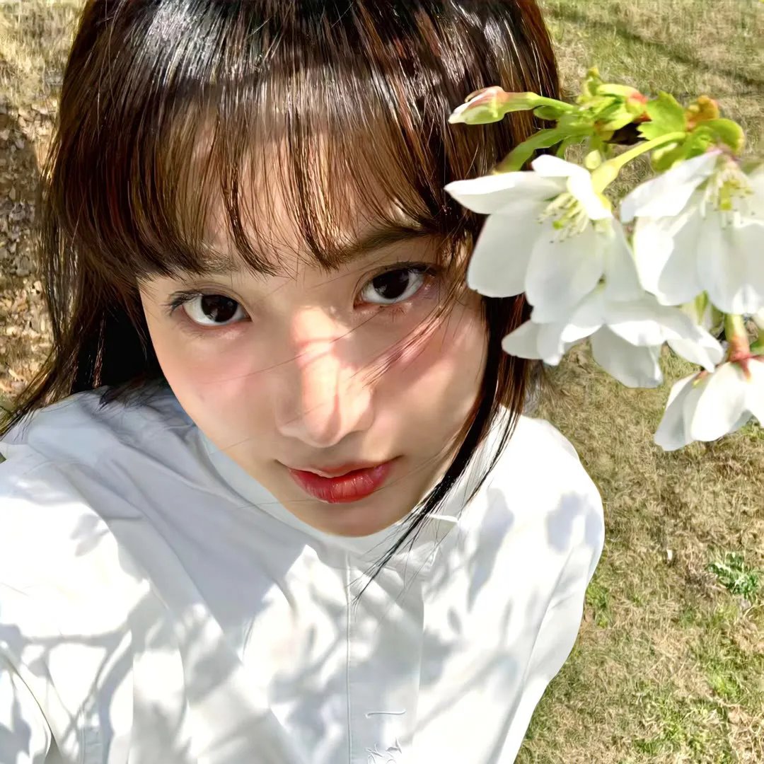 金装律师第四季